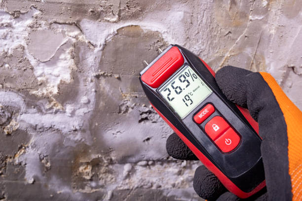 Certified Mold Removal in Sidney, MT