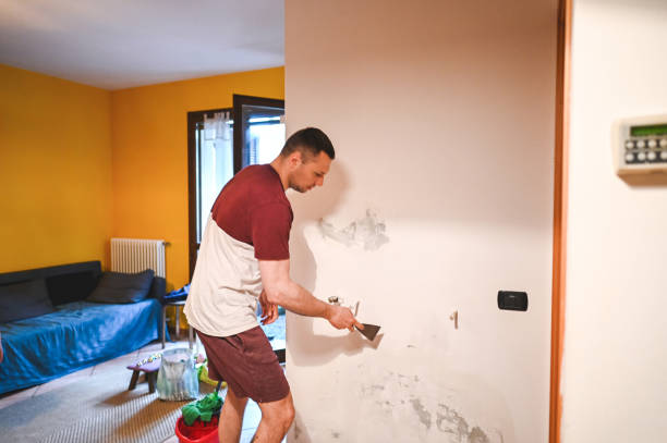 Professional Mold Removal in Sidney, MT